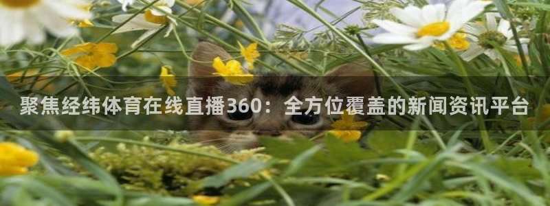 聚焦经纬体育在线直播360：全方位覆盖的新闻资讯平台
