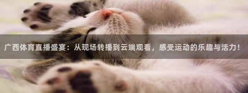 广西体育直播盛宴：从现场转播到云端观看，感受运动的乐趣与活力！